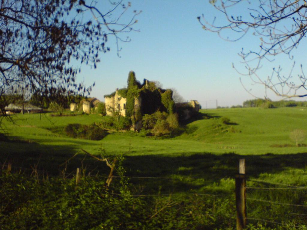 Les Champys Konuk evi Saint-Péreuse Dış mekan fotoğraf